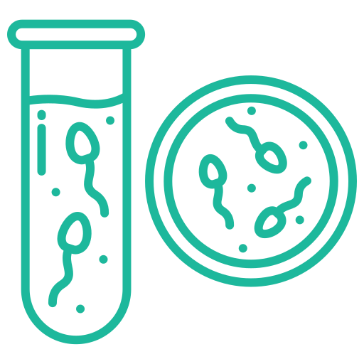 Embryo, Egg, Sperm Donation