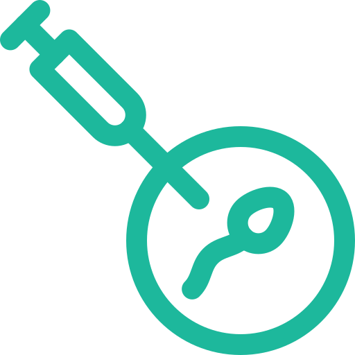 Intra Cytoplasmic Sperm Injection (ICSI)
