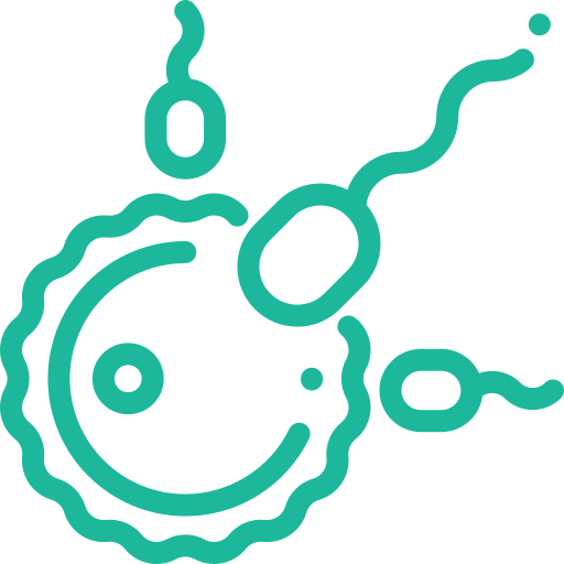 Testicular Sperm Aspiration (TESA)